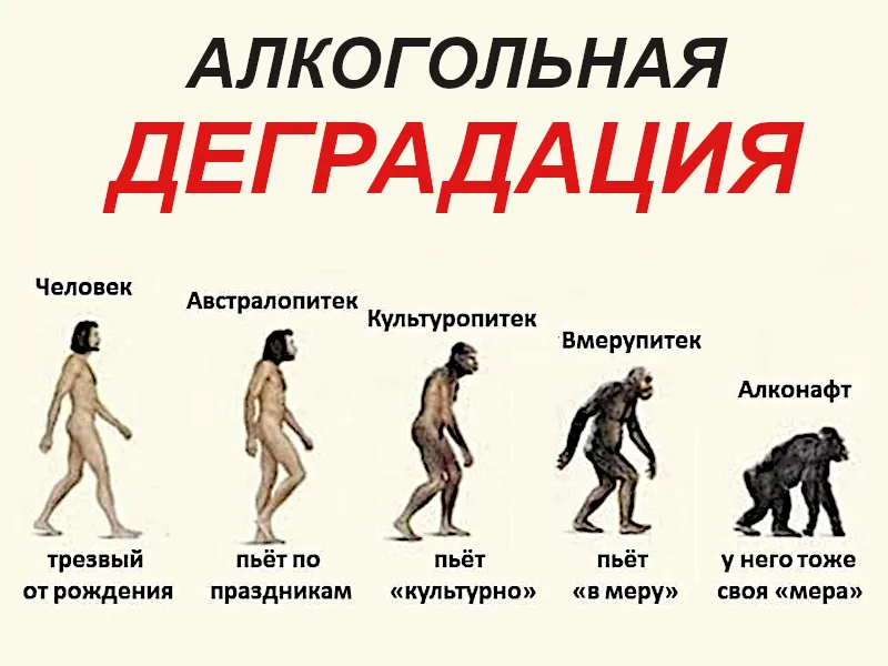 алкогольная деградация